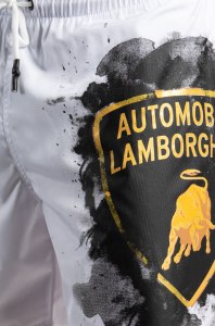 Automobili Lamborghini Пляжные шорты