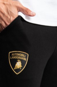 Automobili Lamborghini Спортивные брюки